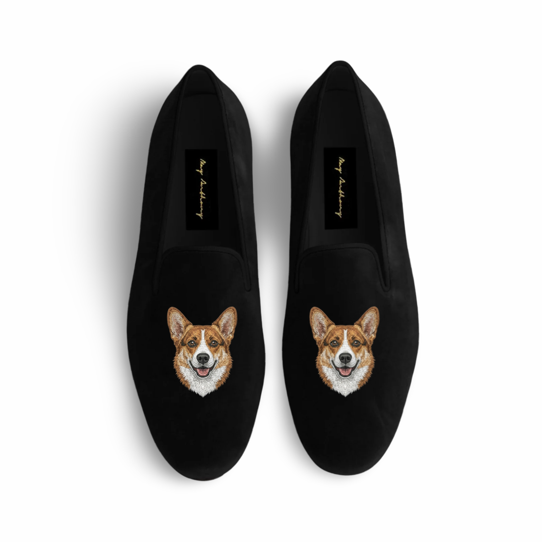 Corgi